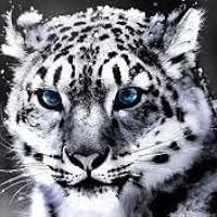 Profile Image for Jirawat Z.