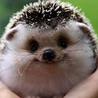 Profile Image for Lauren.