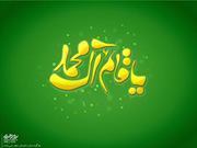 Profile Image for Saba Salh.