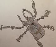 Profile Image for Tasslyn Magnusson.