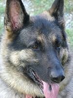 Profile Image for Doreen Raykovich.