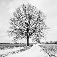 Ax Murders Of Saxtown: The Unsolved Crime That Terrorized A Town And