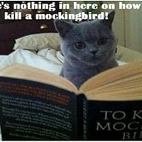 Profile Image for Brenda.