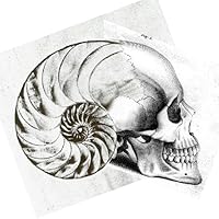 Profile Image for Luke.