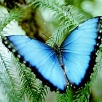 Profile Image for Dr Jeanne Porter King.