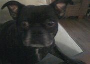 Profile Image for Twonda Wilson.