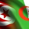 وحيدة بورغدة