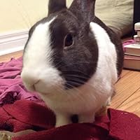 Profile Image for Monbon.