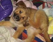 Profile Image for Cynthia Stewart.