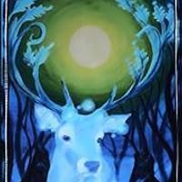 Profile Image for Tara Adams - DeVoy.
