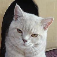 Profile Image for Maria.