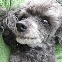 Profile Image for Brenda Anderson.