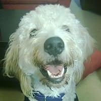 Profile Image for Carrie.