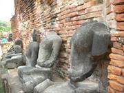 Profile Image for Peter Kalnin.