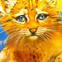 Profile Image for Erin.