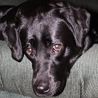 Profile Image for Matthew Karns.