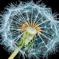 Profile Image for Mari Faith.