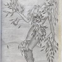 Nancy Cunard: A Biography by Anne Chisholm | Goodreads