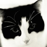 Profile Image for Ashley.
