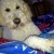 Profile Image for Alison Shoup.