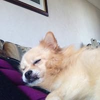 Profile Image for Mia Campbell.