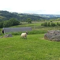 Profile Image for Gregg.