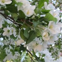 Profile Image for Hilary.