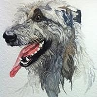 Profile Image for Pam Murphy.