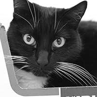 Profile Image for Annika.