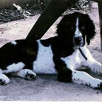 Profile Image for James Wilkinson.