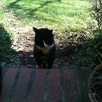 Profile Image for Yuan-Ming.