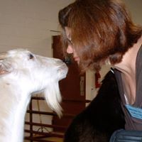 Profile Image for Kat Oliver.