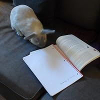 Profile Image for Kate.