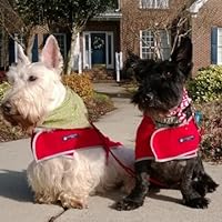 Profile Image for Susan Lilly.