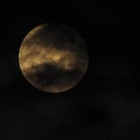 Profile Image for Crimson Moon.