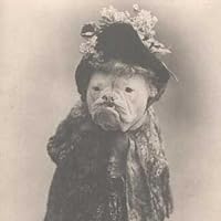 Profile Image for Sandra Payne.