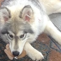 Profile Image for MoJo.