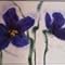 Clare Hinton