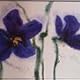 Clare Hinton