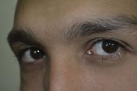 Profile Image for Alamir Zakarya.