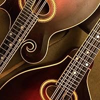 Profile Image for Steve Matlak.