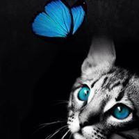 Profile Image for April Swift.
