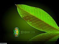 健康・医学 MIRACLES THROUGH PRANIC HEALING Miracles Through Pranic Healing, Advanced Pranic Healing