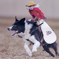 Profile Image for Bob Young.