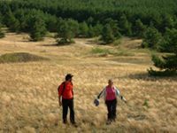 A Path With A Heart [ペーパーバック] Dolan， Yvonne M. A Path With A Heart by Yvonne M. Dolan | Goodreads