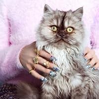 Profile Image for Fifi.