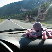 Profile Image for Walt.