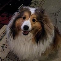 Profile Image for Anu.