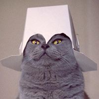 Profile Image for Brian.