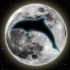 Profile Image for Lisirien.